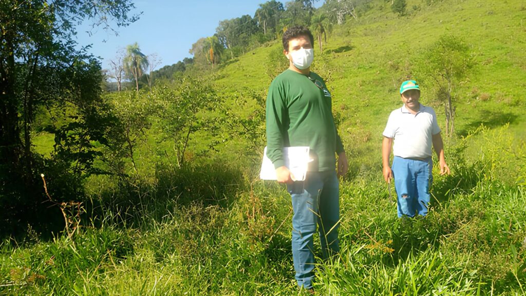 Macrorganico (3)