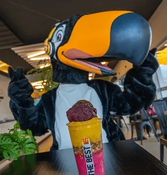 Mascote tucano da The Best Açaí ao lado de um copo de açaí em loja